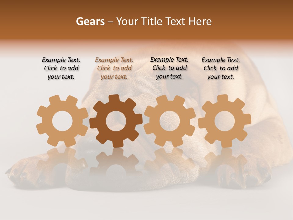 Hide Tired Lying PowerPoint Template