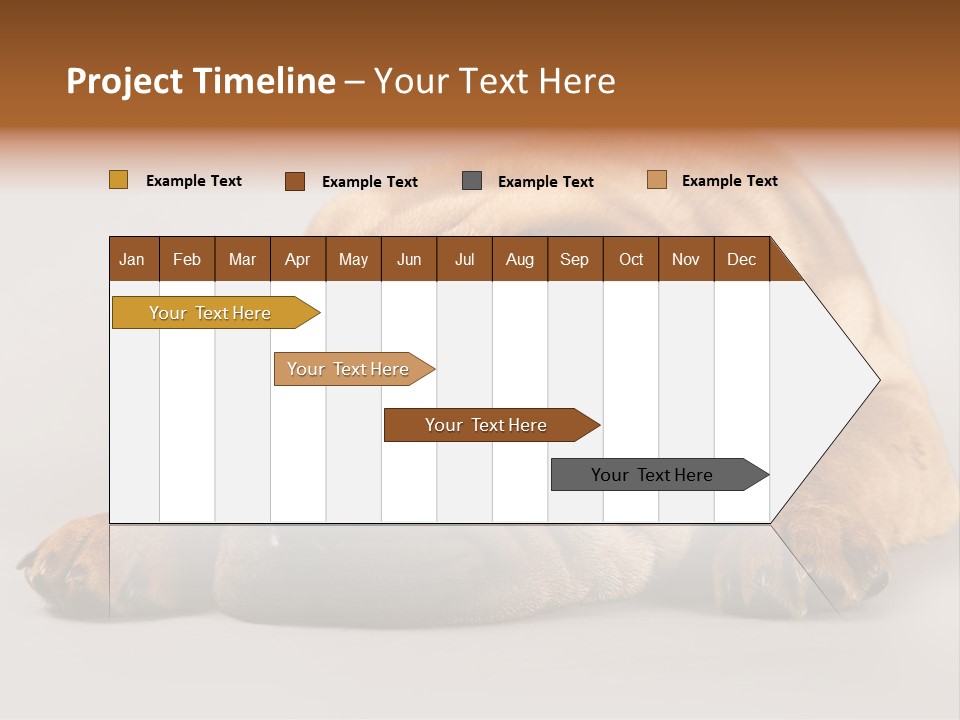 Hide Tired Lying PowerPoint Template