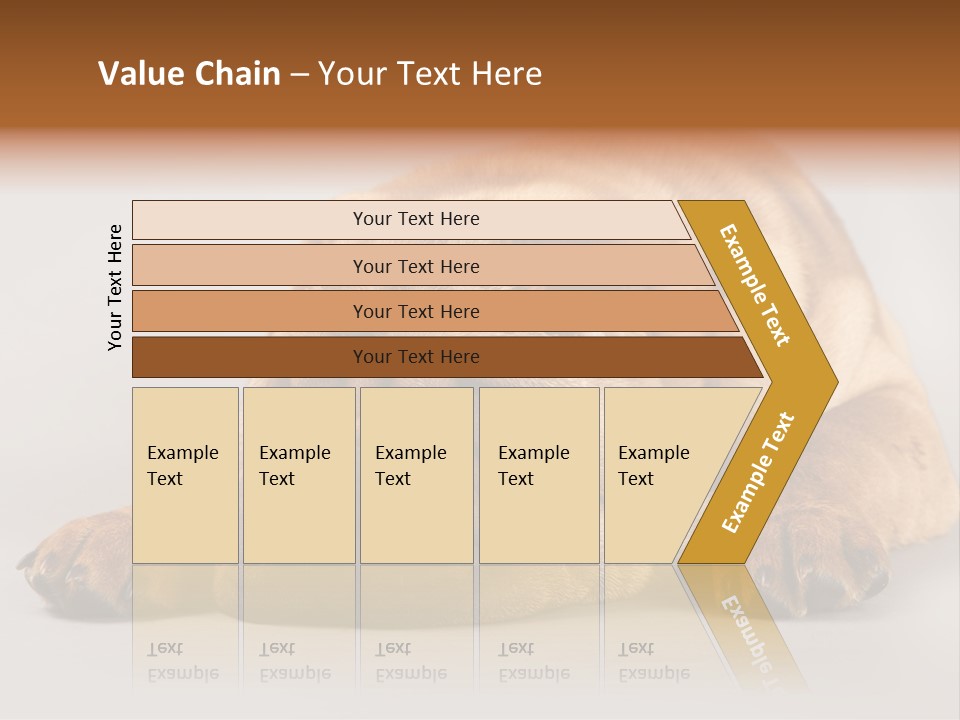 Hide Tired Lying PowerPoint Template