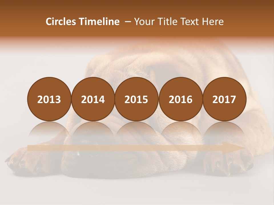 Hide Tired Lying PowerPoint Template