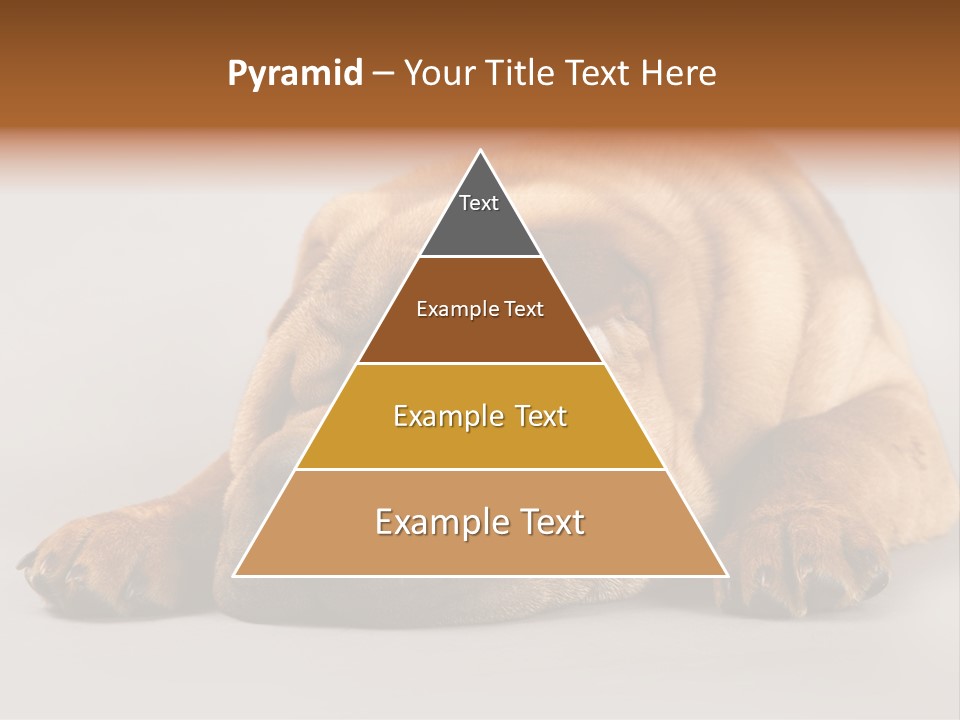 Hide Tired Lying PowerPoint Template