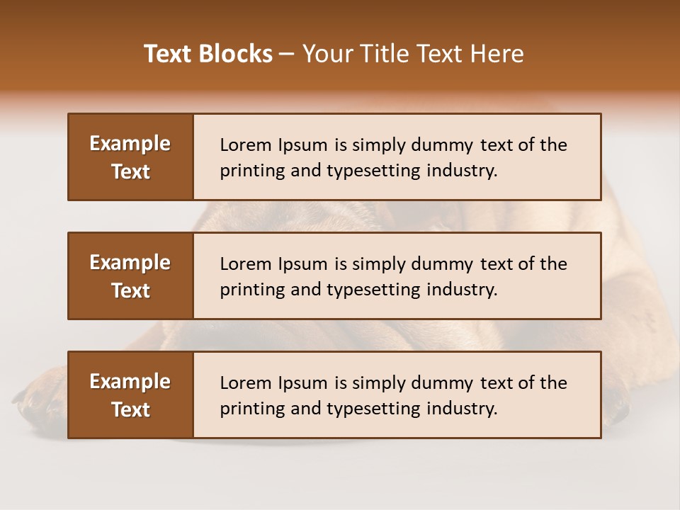 Hide Tired Lying PowerPoint Template