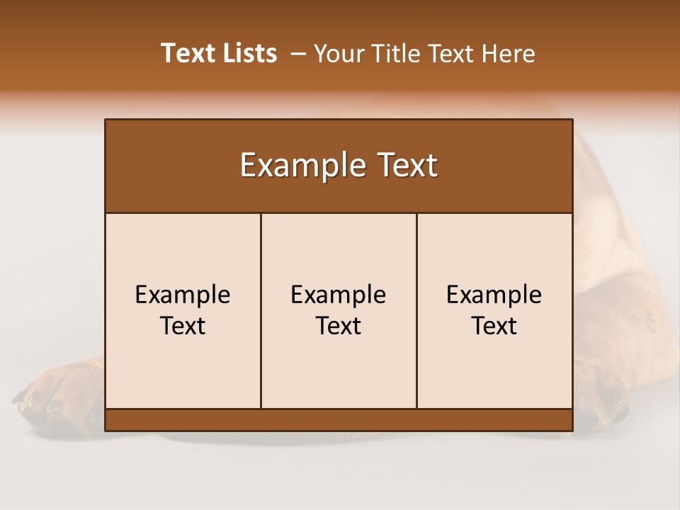 Hide Tired Lying PowerPoint Template