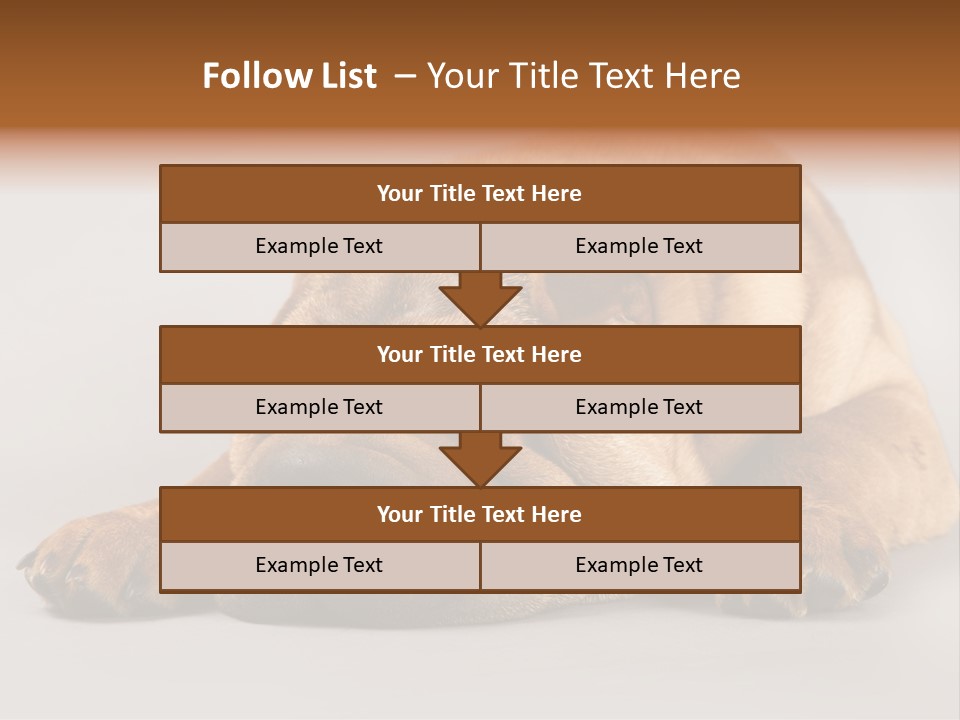 Hide Tired Lying PowerPoint Template
