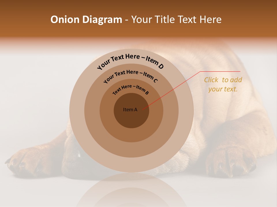 Hide Tired Lying PowerPoint Template