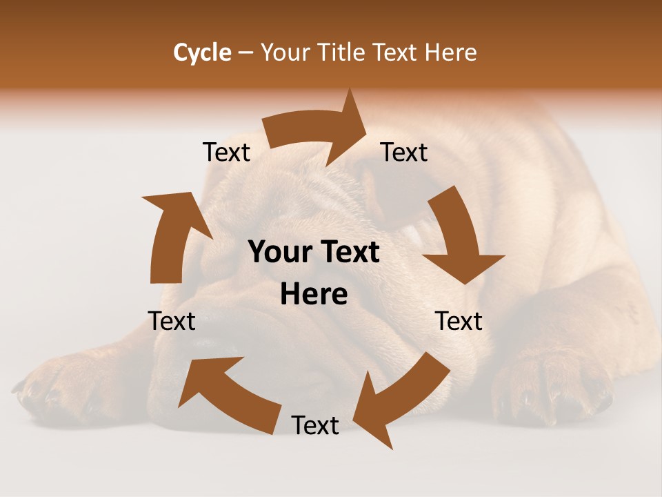 Hide Tired Lying PowerPoint Template