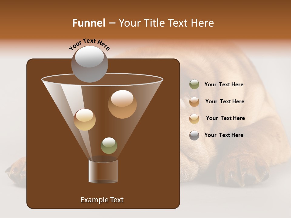 Hide Tired Lying PowerPoint Template