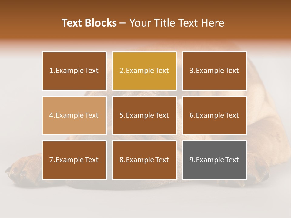 Hide Tired Lying PowerPoint Template