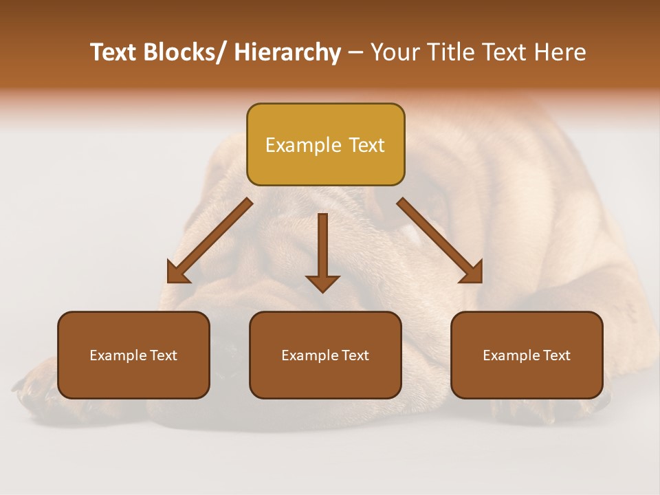 Hide Tired Lying PowerPoint Template
