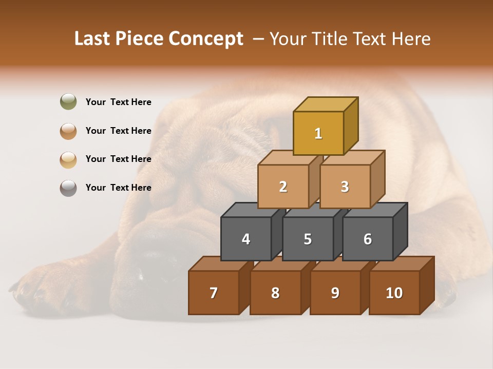 Hide Tired Lying PowerPoint Template
