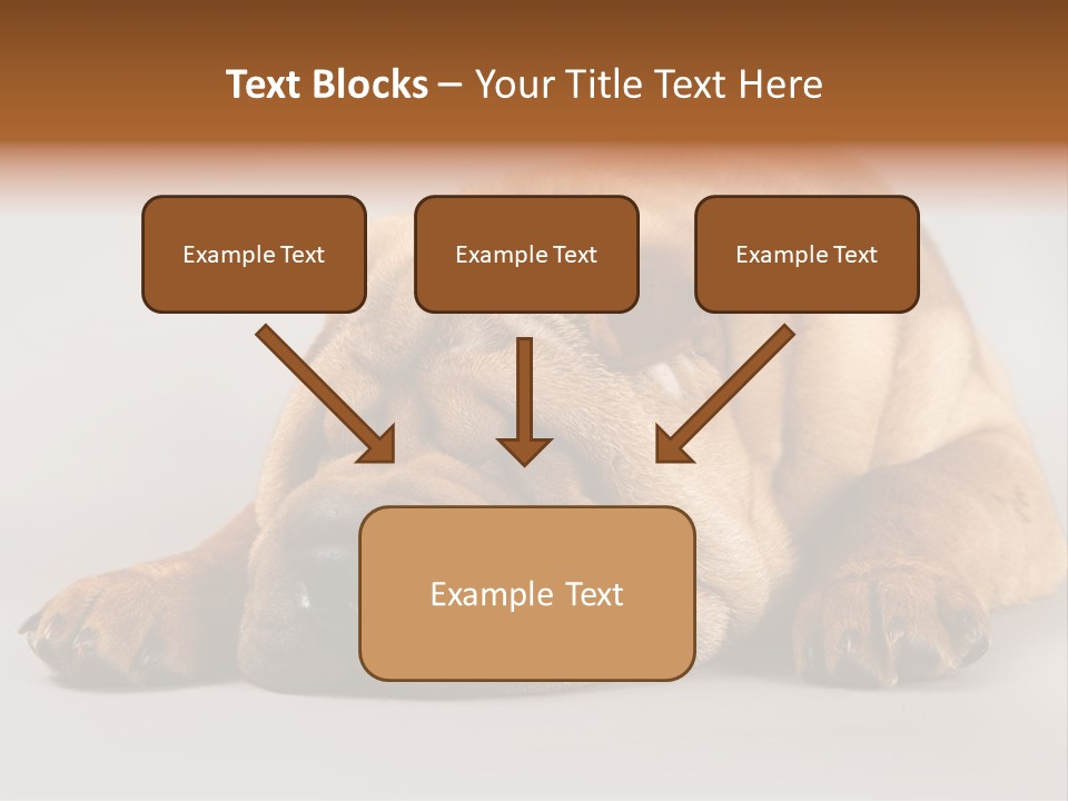 Hide Tired Lying PowerPoint Template