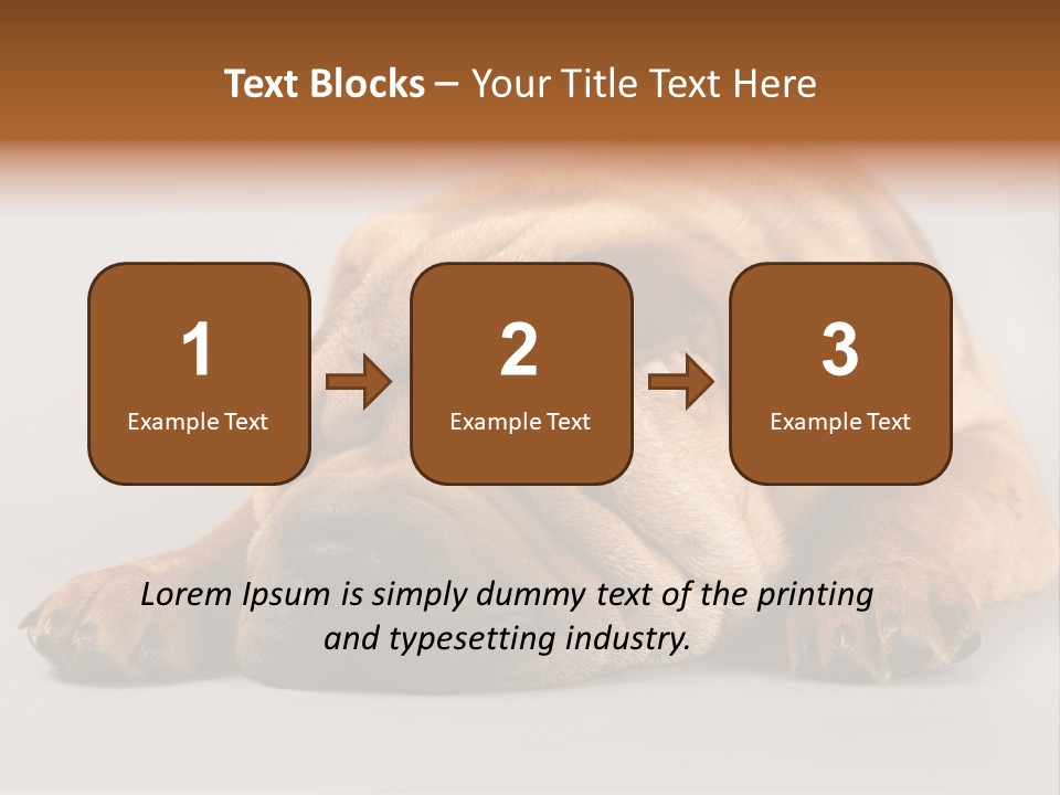 Hide Tired Lying PowerPoint Template