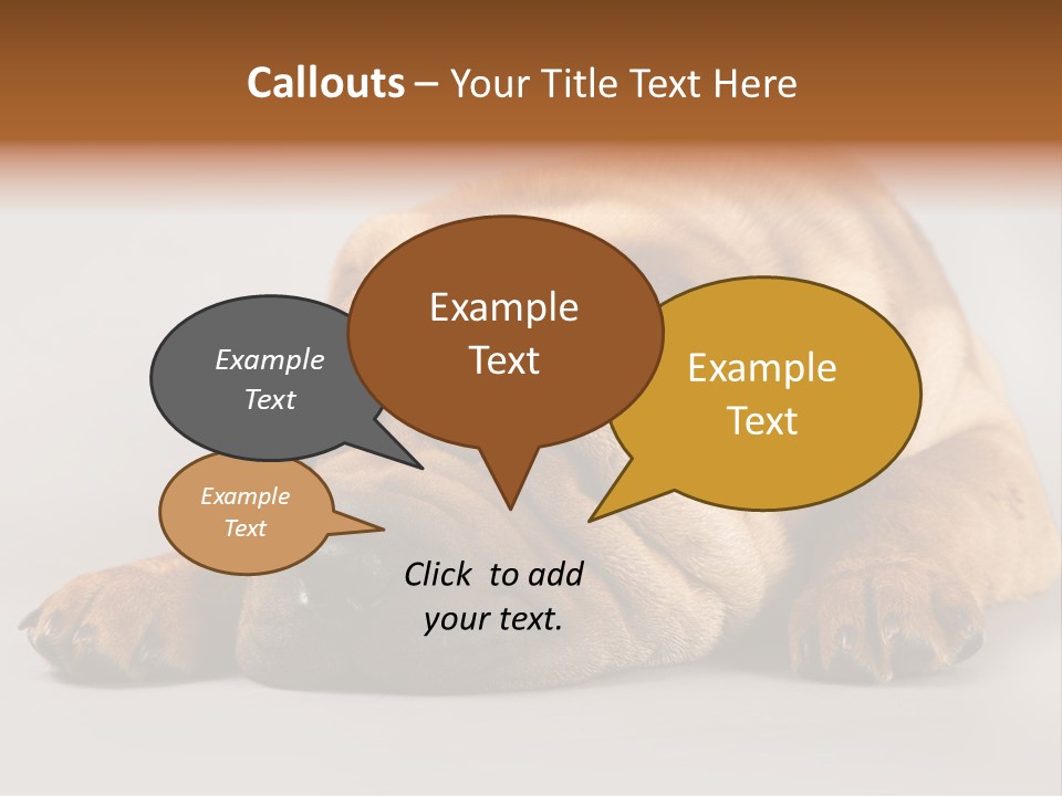 Hide Tired Lying PowerPoint Template