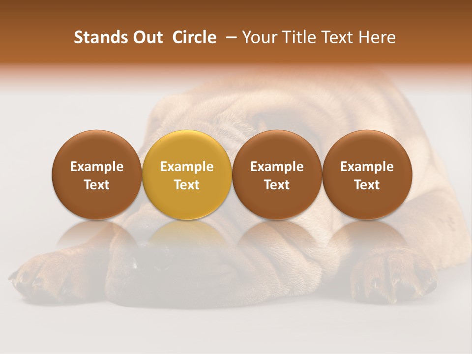 Hide Tired Lying PowerPoint Template