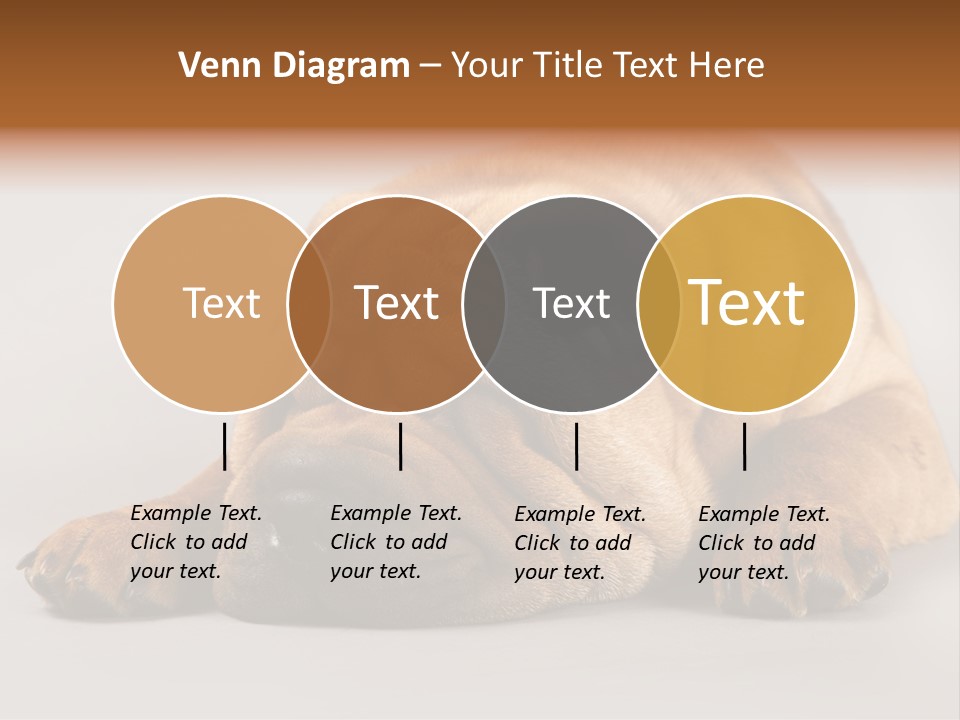 Hide Tired Lying PowerPoint Template