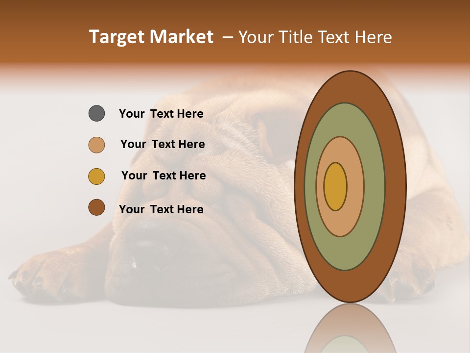 Hide Tired Lying PowerPoint Template