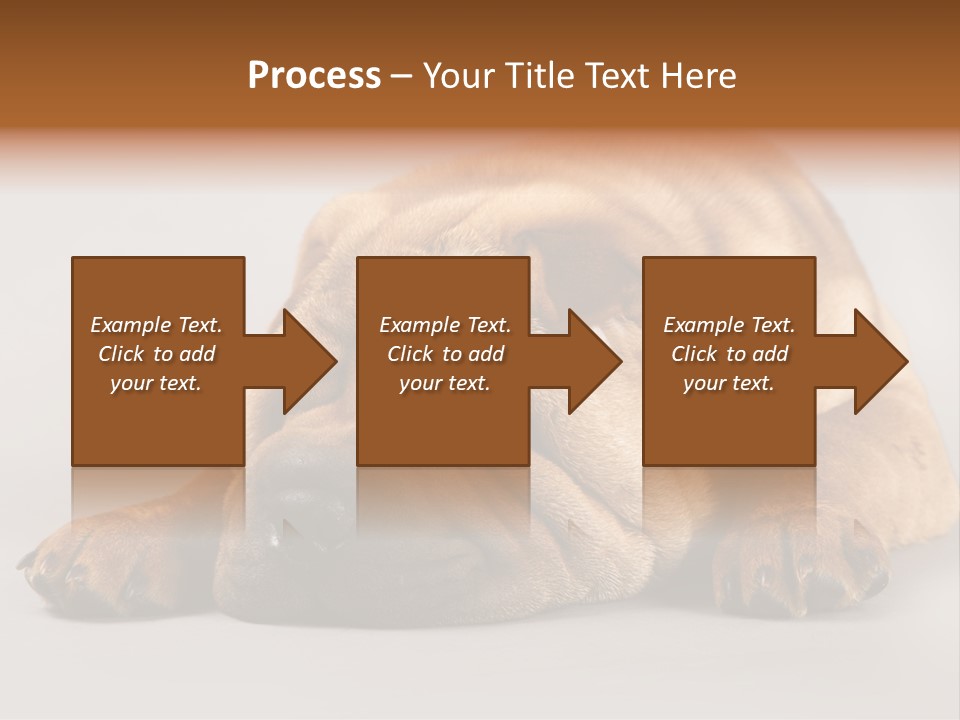 Hide Tired Lying PowerPoint Template