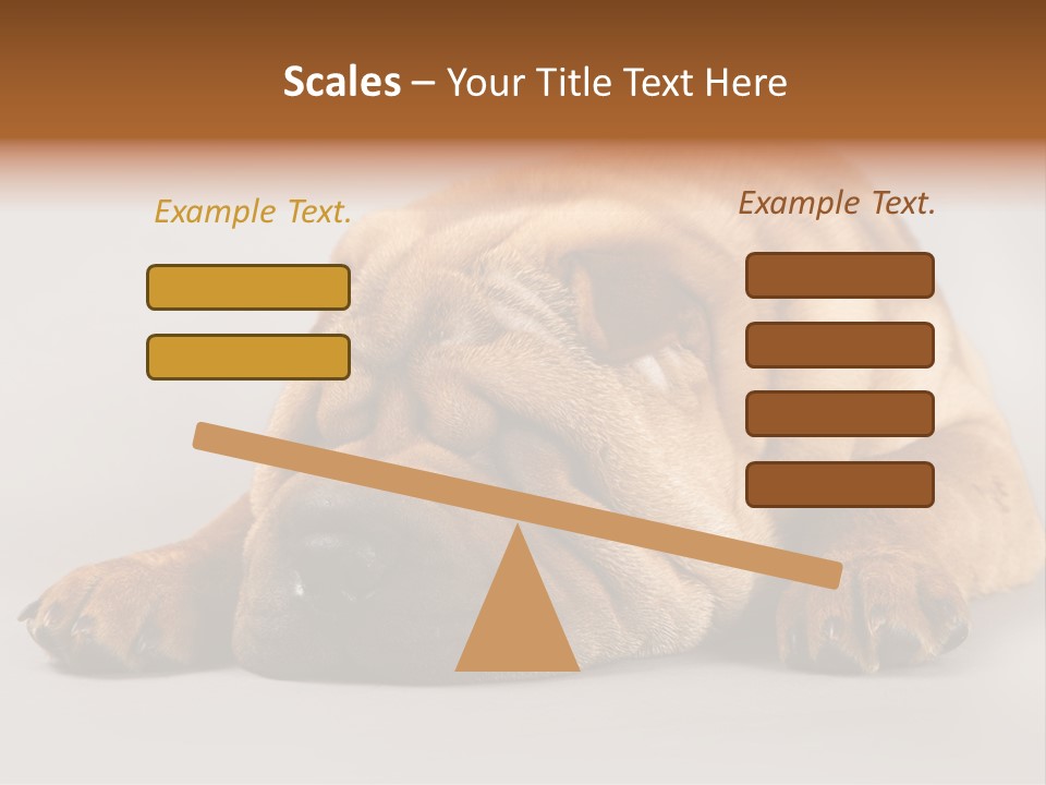 Hide Tired Lying PowerPoint Template
