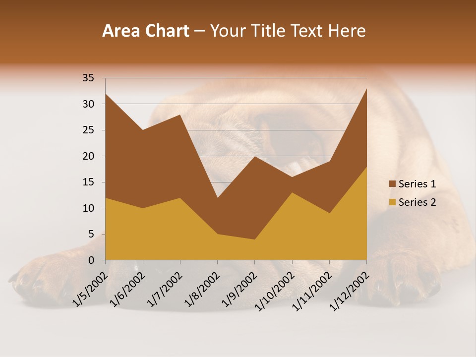 Hide Tired Lying PowerPoint Template
