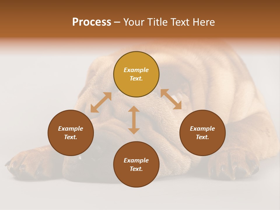 Hide Tired Lying PowerPoint Template