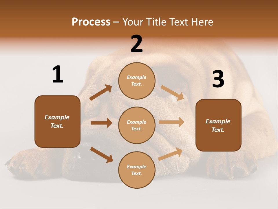 Hide Tired Lying PowerPoint Template