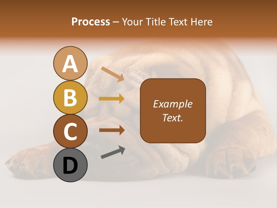 Hide Tired Lying PowerPoint Template
