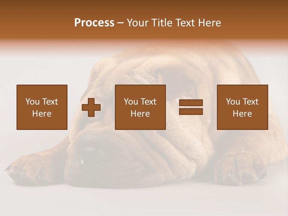 Hide Tired Lying PowerPoint Template