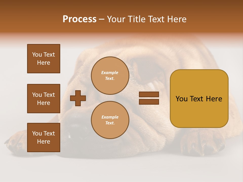 Hide Tired Lying PowerPoint Template