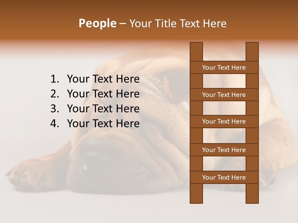 Hide Tired Lying PowerPoint Template