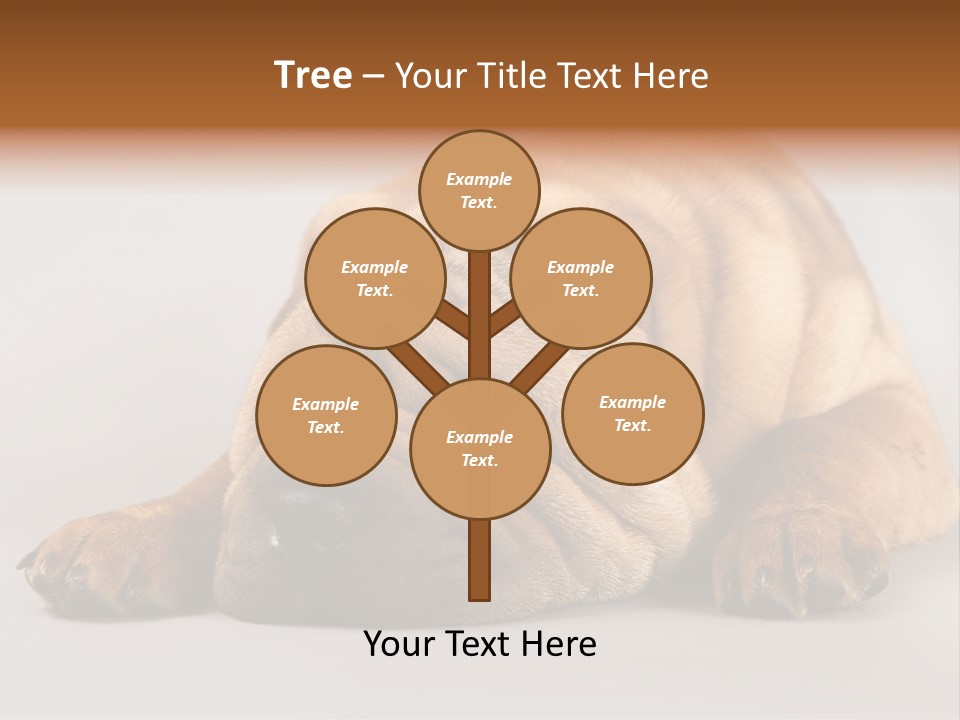 Hide Tired Lying PowerPoint Template