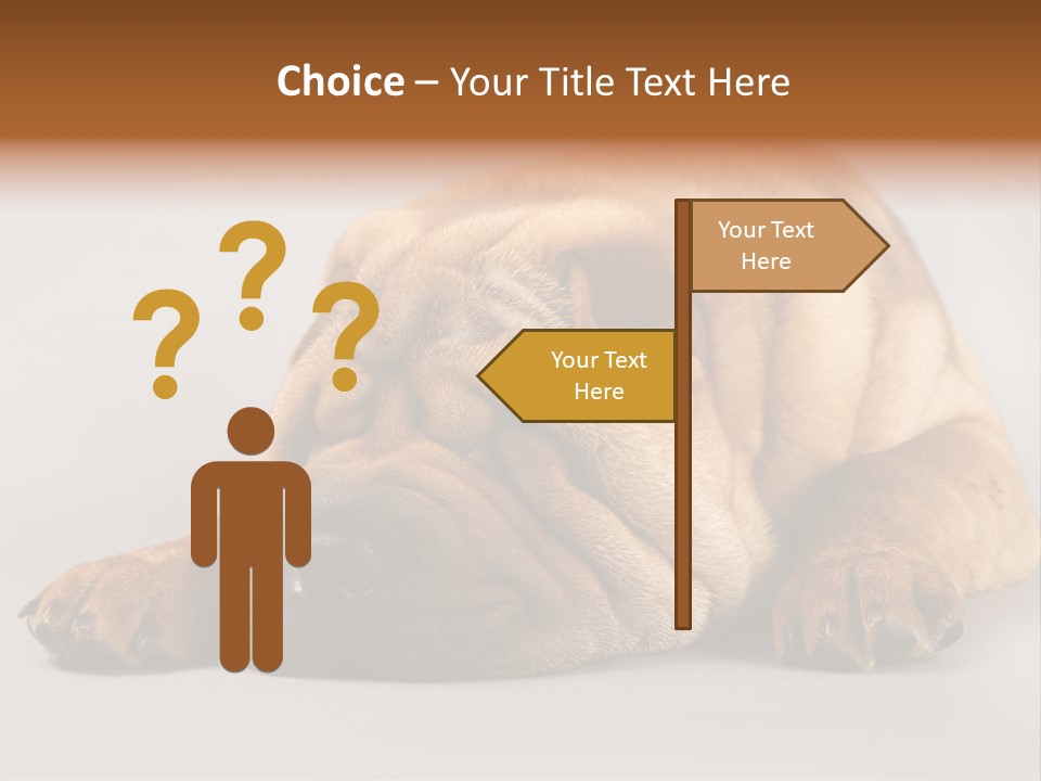 Hide Tired Lying PowerPoint Template