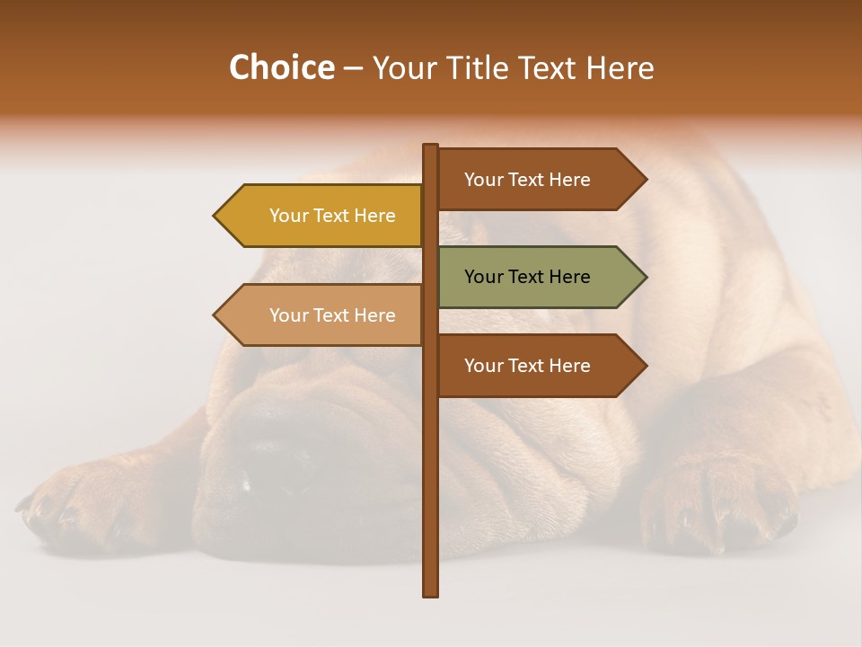 Hide Tired Lying PowerPoint Template