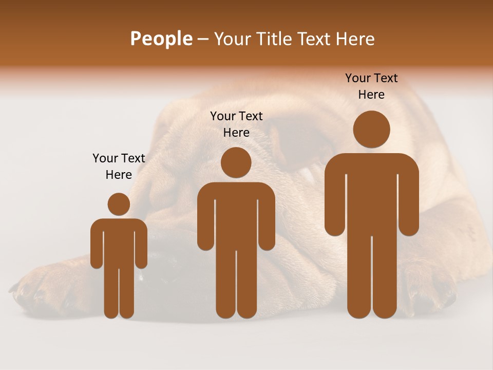 Hide Tired Lying PowerPoint Template