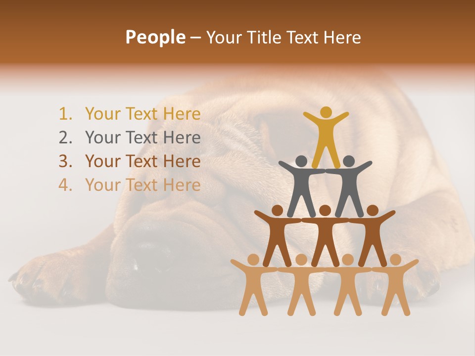 Hide Tired Lying PowerPoint Template