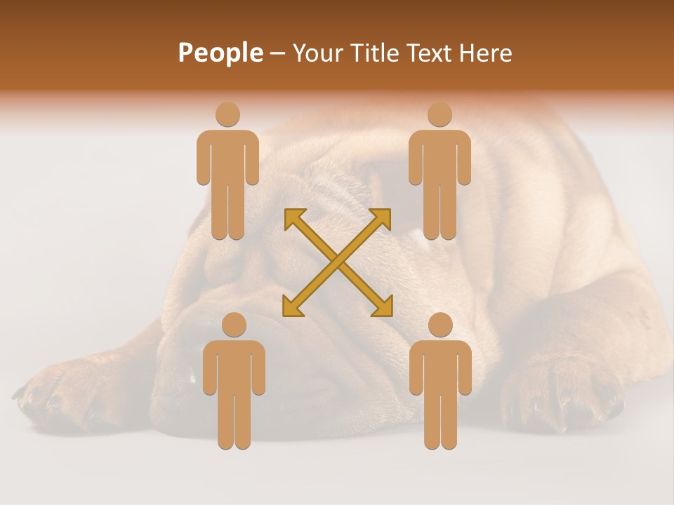 Hide Tired Lying PowerPoint Template