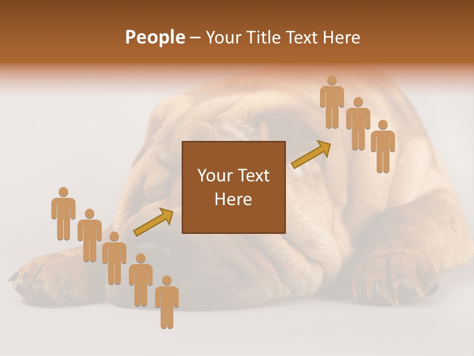 Hide Tired Lying PowerPoint Template