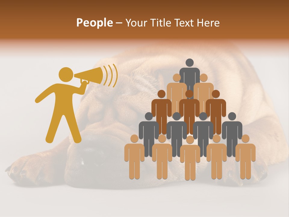 Hide Tired Lying PowerPoint Template