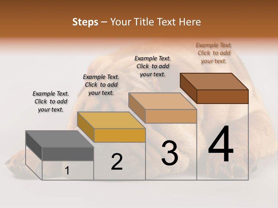 Hide Tired Lying PowerPoint Template