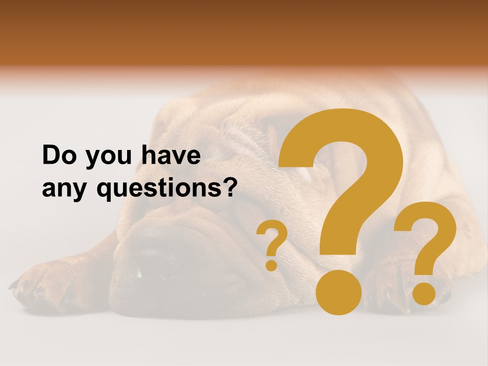 Hide Tired Lying PowerPoint Template