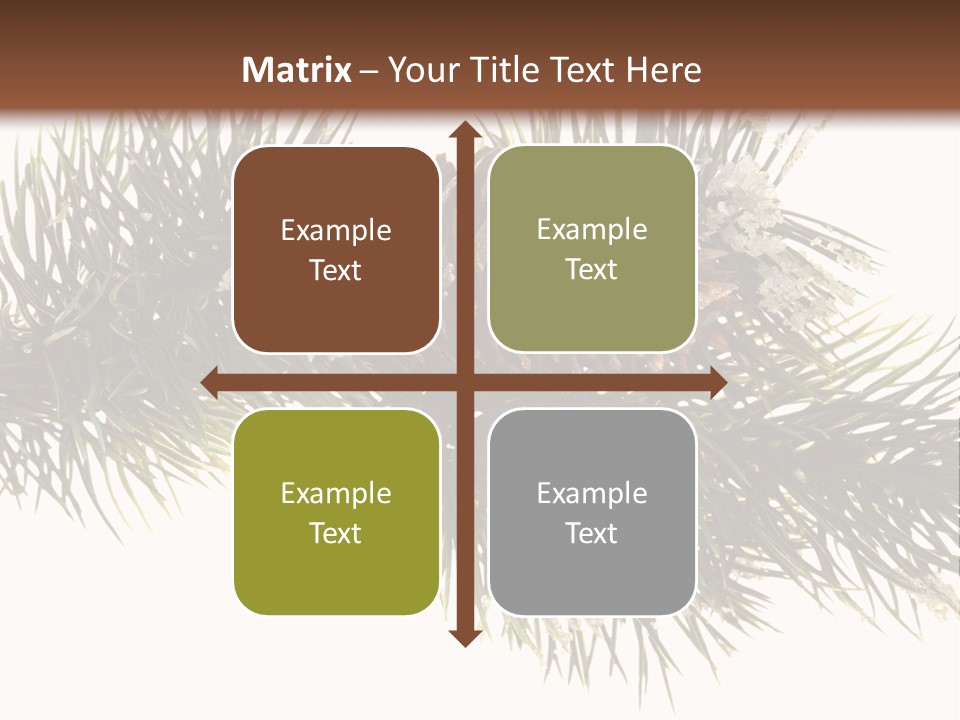Conifer Pine Fir Branch PowerPoint Template