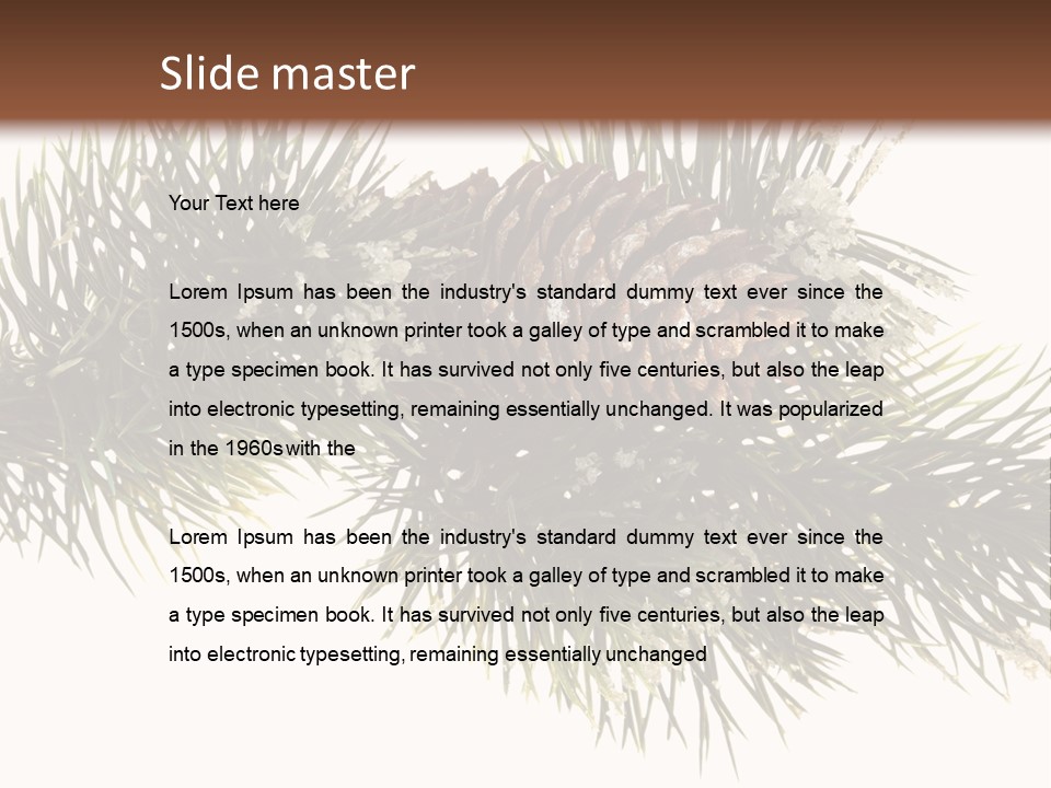 Conifer Pine Fir Branch PowerPoint Template