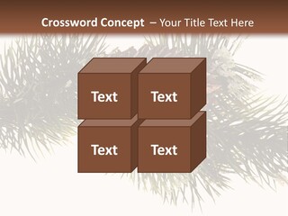Conifer Pine Fir Branch PowerPoint Template