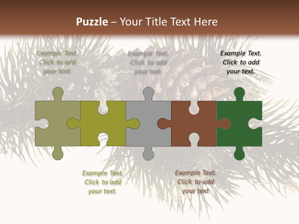 Conifer Pine Fir Branch PowerPoint Template