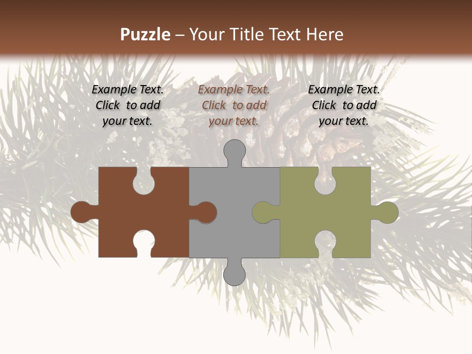 Conifer Pine Fir Branch PowerPoint Template