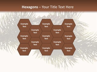 Conifer Pine Fir Branch PowerPoint Template