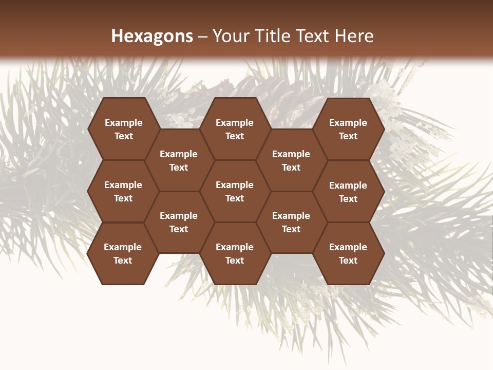 Conifer Pine Fir Branch PowerPoint Template