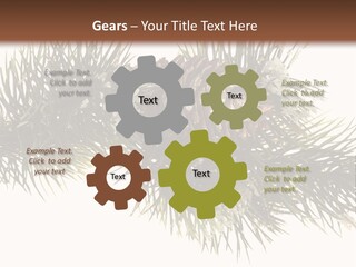 Conifer Pine Fir Branch PowerPoint Template