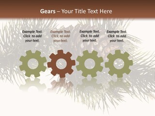 Conifer Pine Fir Branch PowerPoint Template