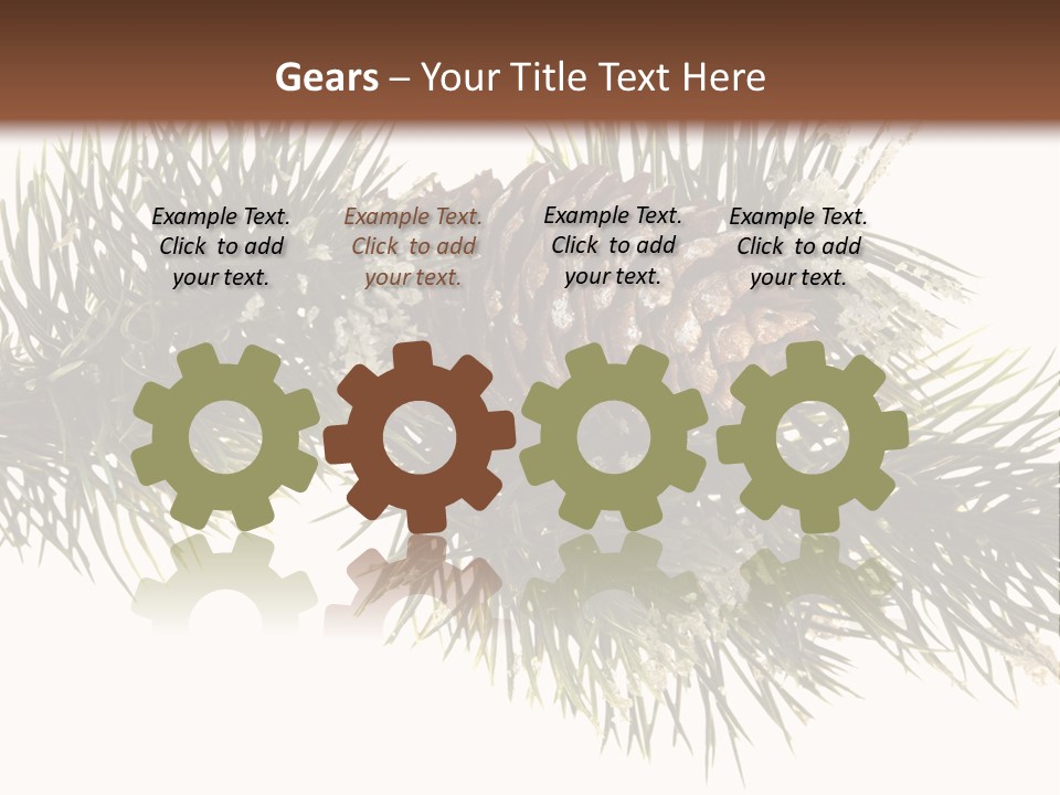 Conifer Pine Fir Branch PowerPoint Template