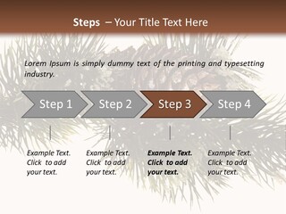 Conifer Pine Fir Branch PowerPoint Template